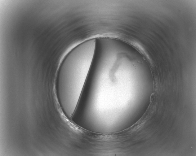 X0000066970952200603311446