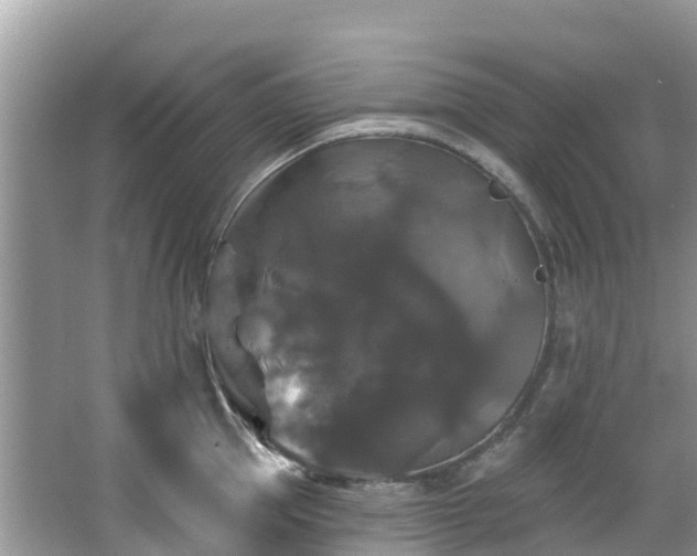 X0000066970953200603311446