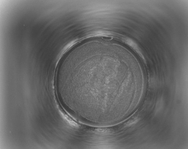 X0000066970954200603311446