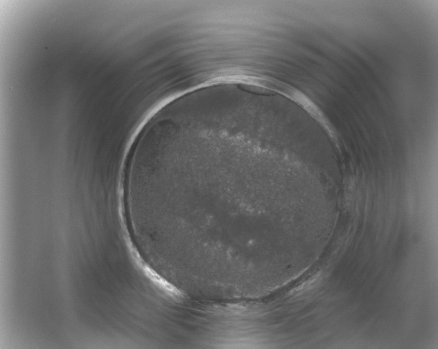 X0000066970955200603311446