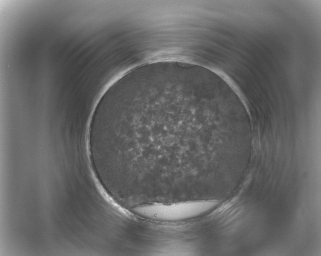 X0000066970957200603311446