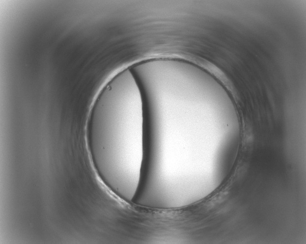 X0000066970958200603311446