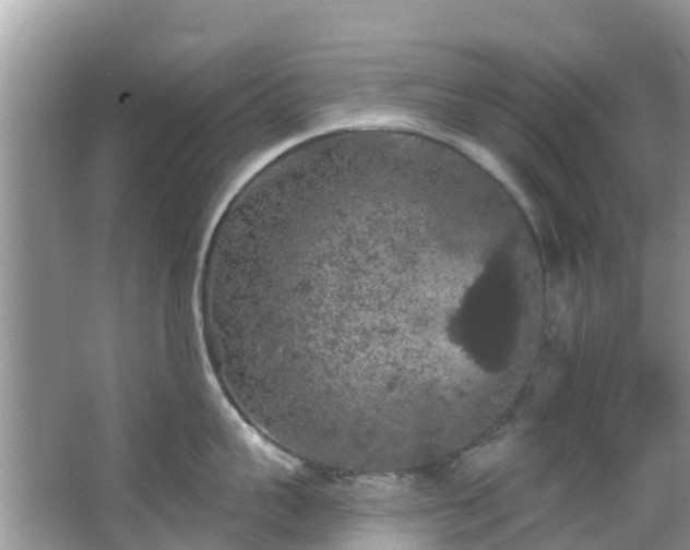 X0000066970959200603311446