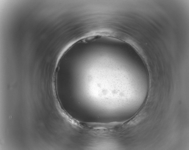 X0000066970960200603311446