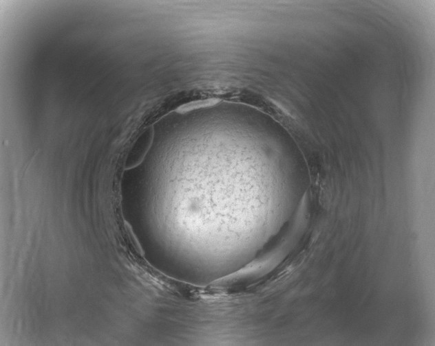 X0000066970961200603311445