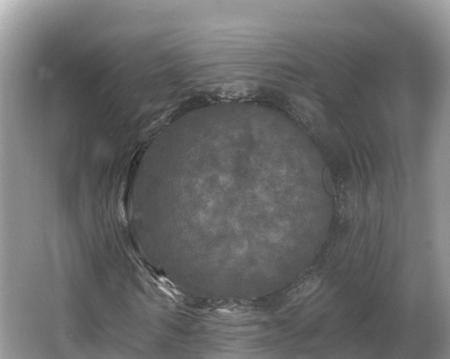 X0000066970962200603311445