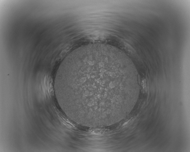 X0000066970963200603311445