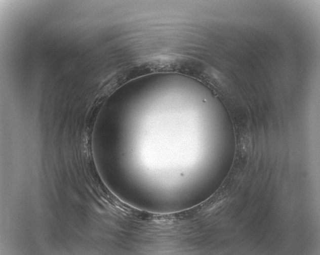 X0000066970964200603311445