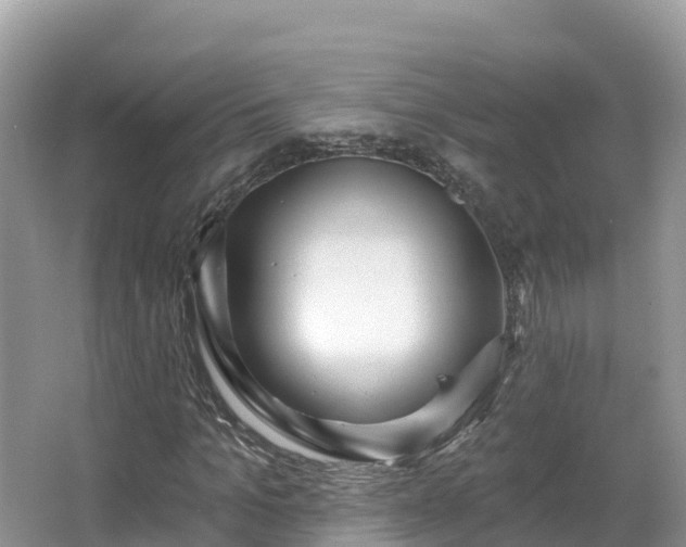 X0000066970965200603311445