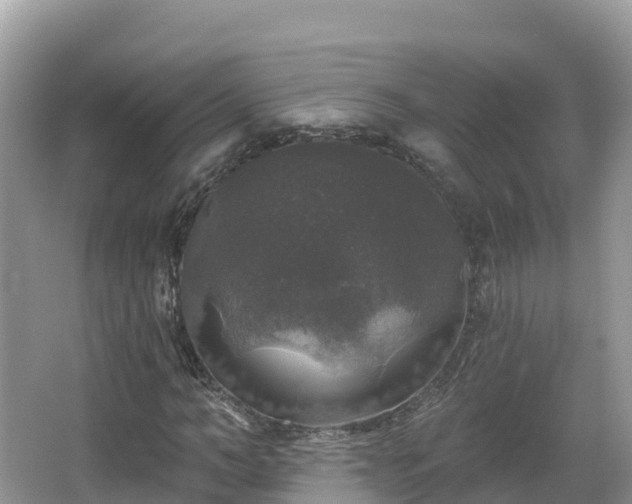 X0000066970966200603311445