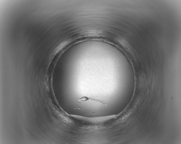 X0000066970970200603311445