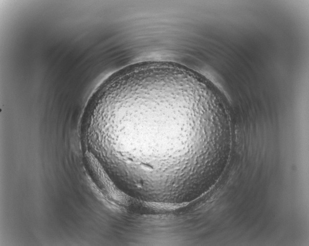 X0000066970972200603311445