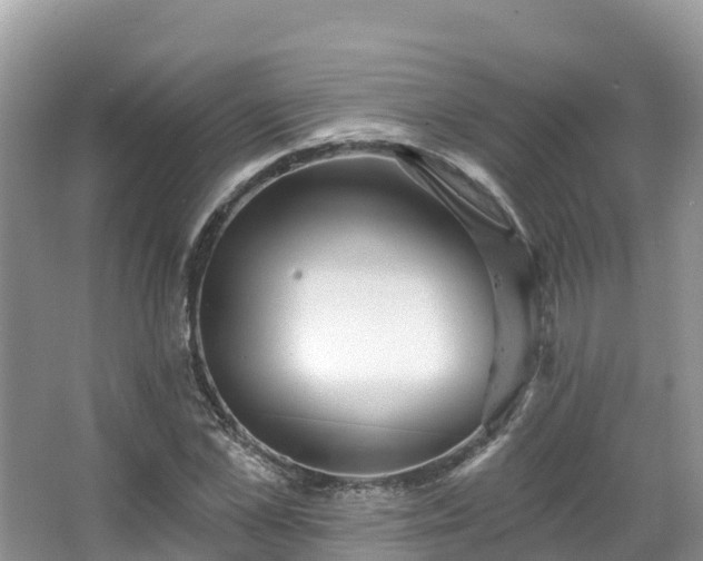 X0000066970973200603311445