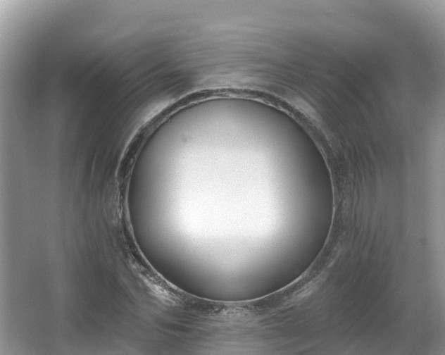 X0000066970974200603311445