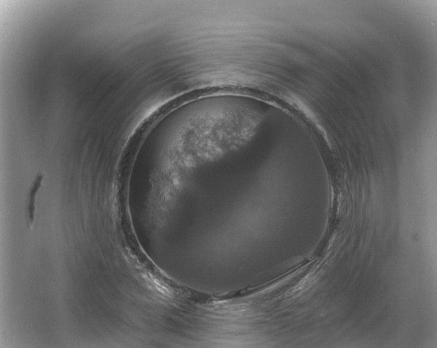 X0000066970975200603311445