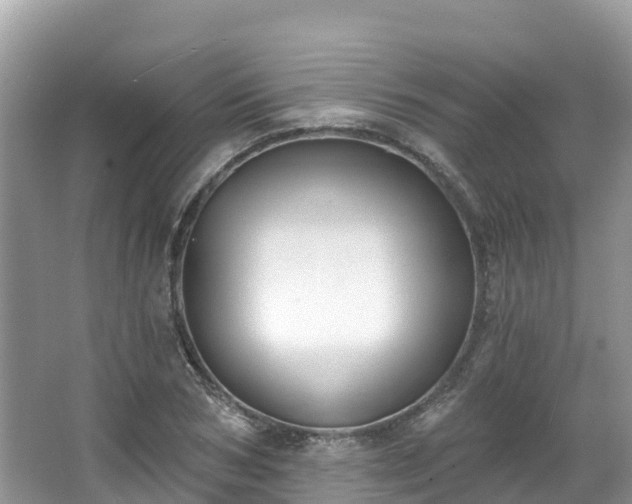 X0000066970978200603311445