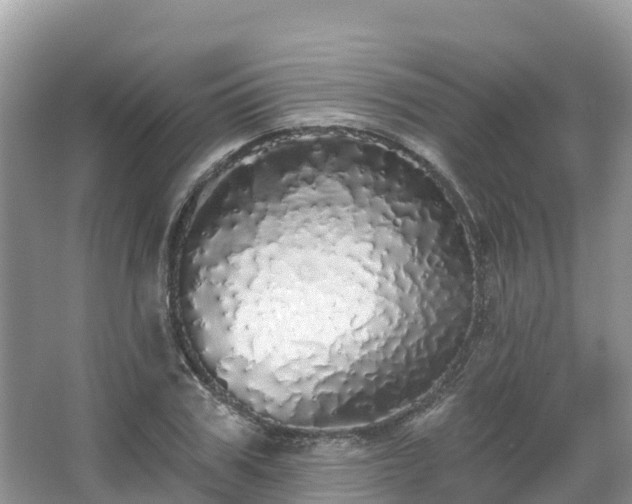 X0000066970979200603311445