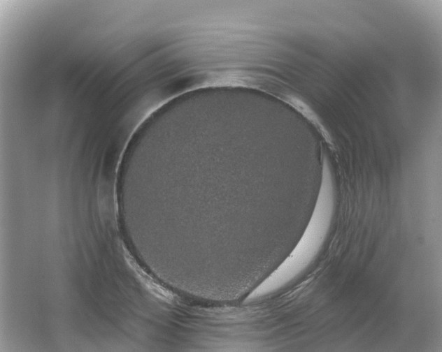 X0000066970980200603311445