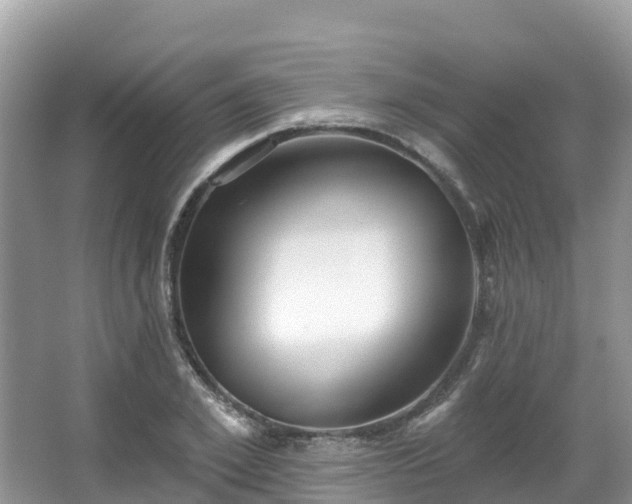 X0000066970981200603311444