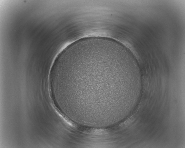 X0000066970982200603311444