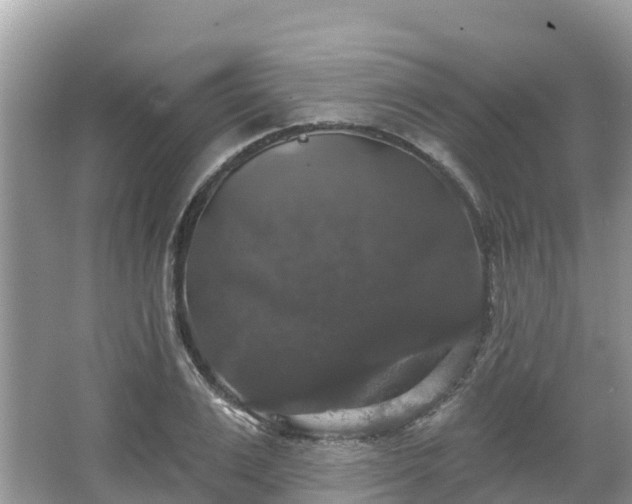 X0000066970983200603311444