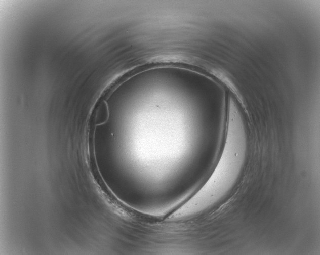 X0000066970984200603311444