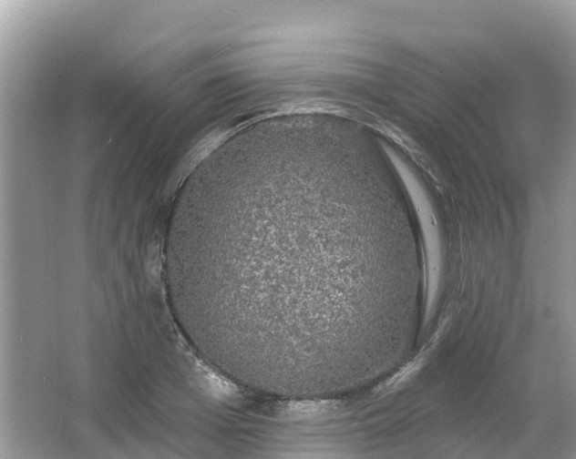 X0000066970985200603311444