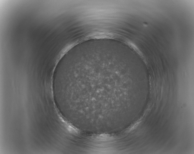 X0000066970986200603311444