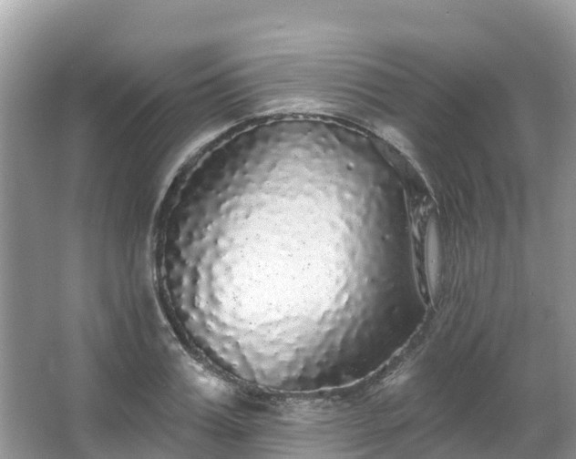 X0000066970987200603311444