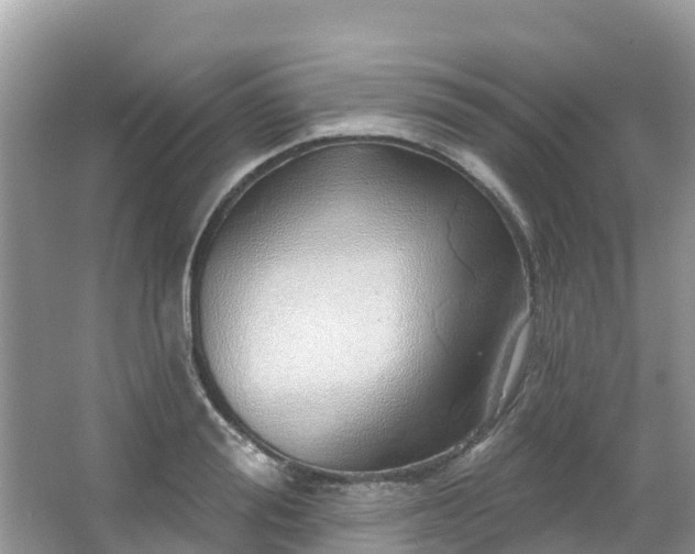 X0000066970988200603311444