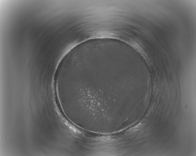 X0000066970990200603311444