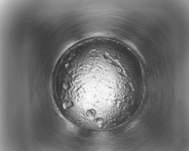 X0000066970991200603311444