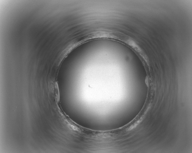 X0000066970993200603311444