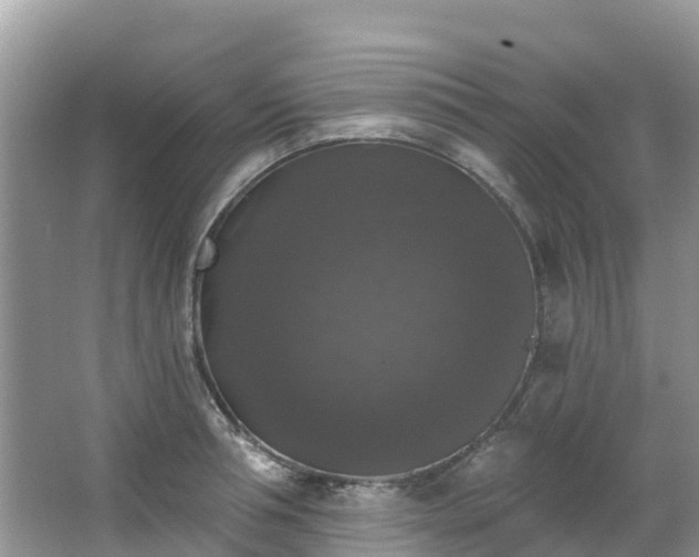 X0000066970994200603311444