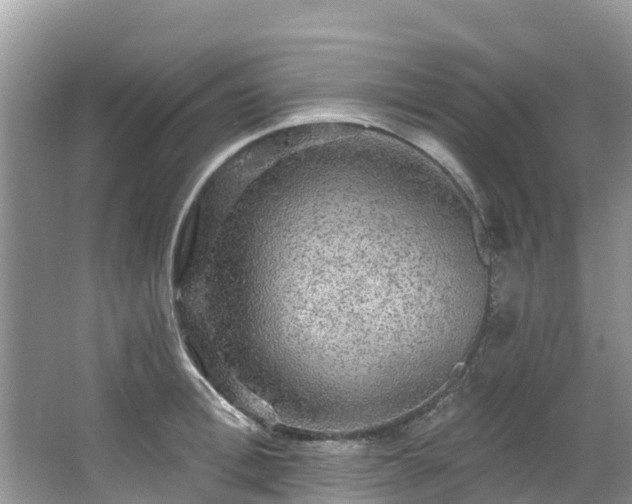 X0000066970996200603311444