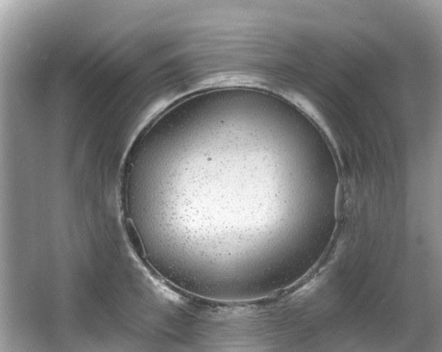 X0000066970997200603311444