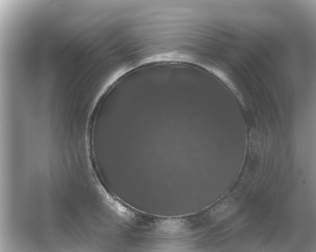 X0000066970998200603311444