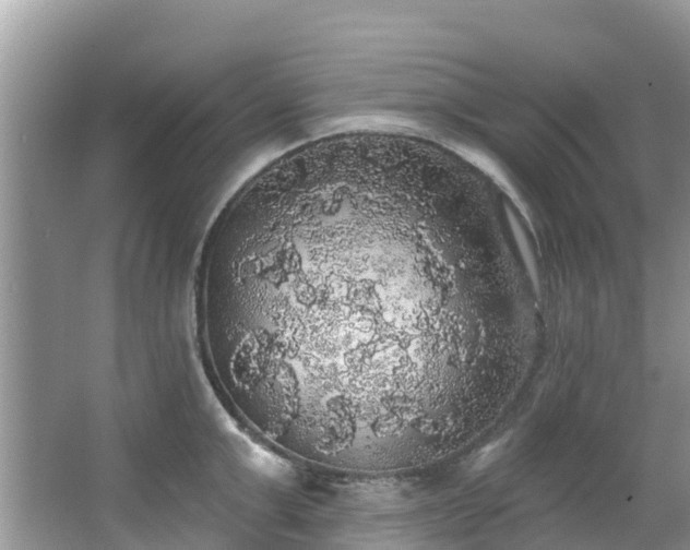 X0000066970999200603311444