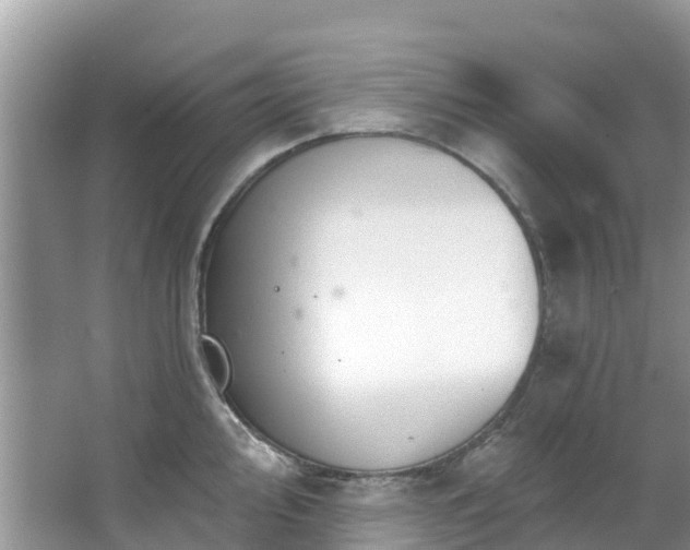 X0000066971000200603311444