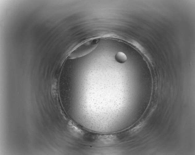 X0000066971001200603311444