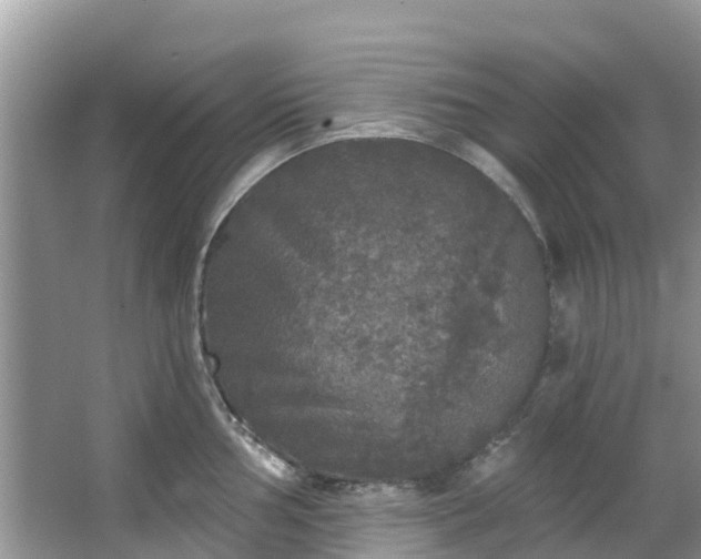 X0000066971002200603311444