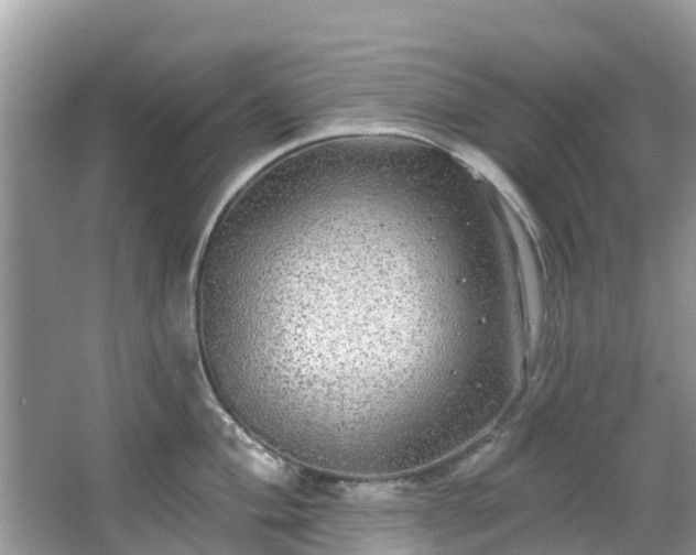 X0000066971004200603311444