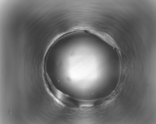 X0000066971005200603311444