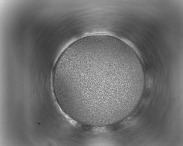 X0000066971006200603311444