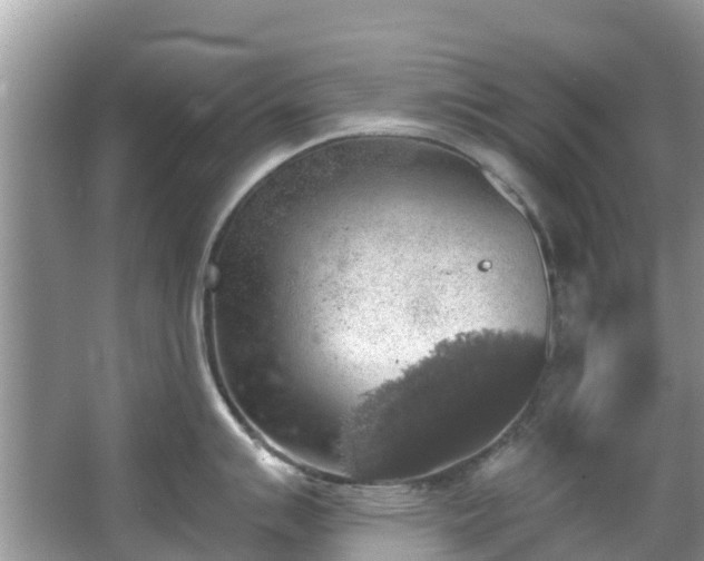 X0000066971007200603311444