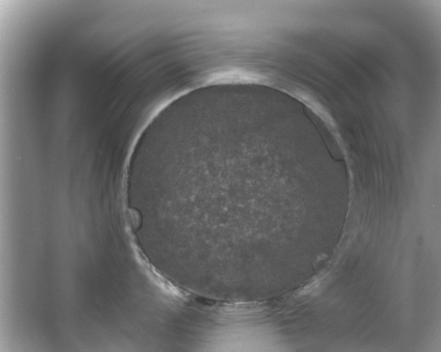 X0000066971008200603311444