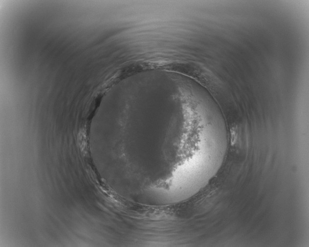 X0000066971011200603311443