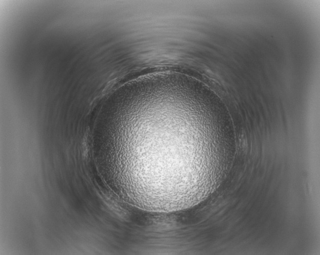 X0000066971012200603311443