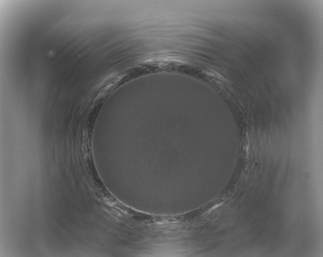 X0000066971014200603311443