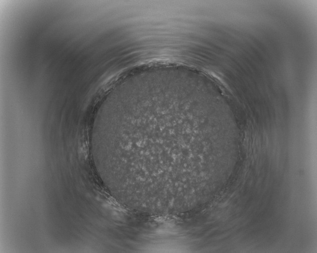 X0000066971015200603311443